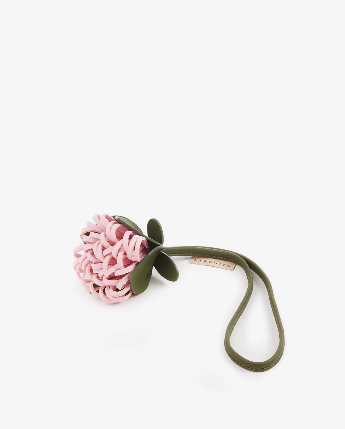 Encanto de Protea