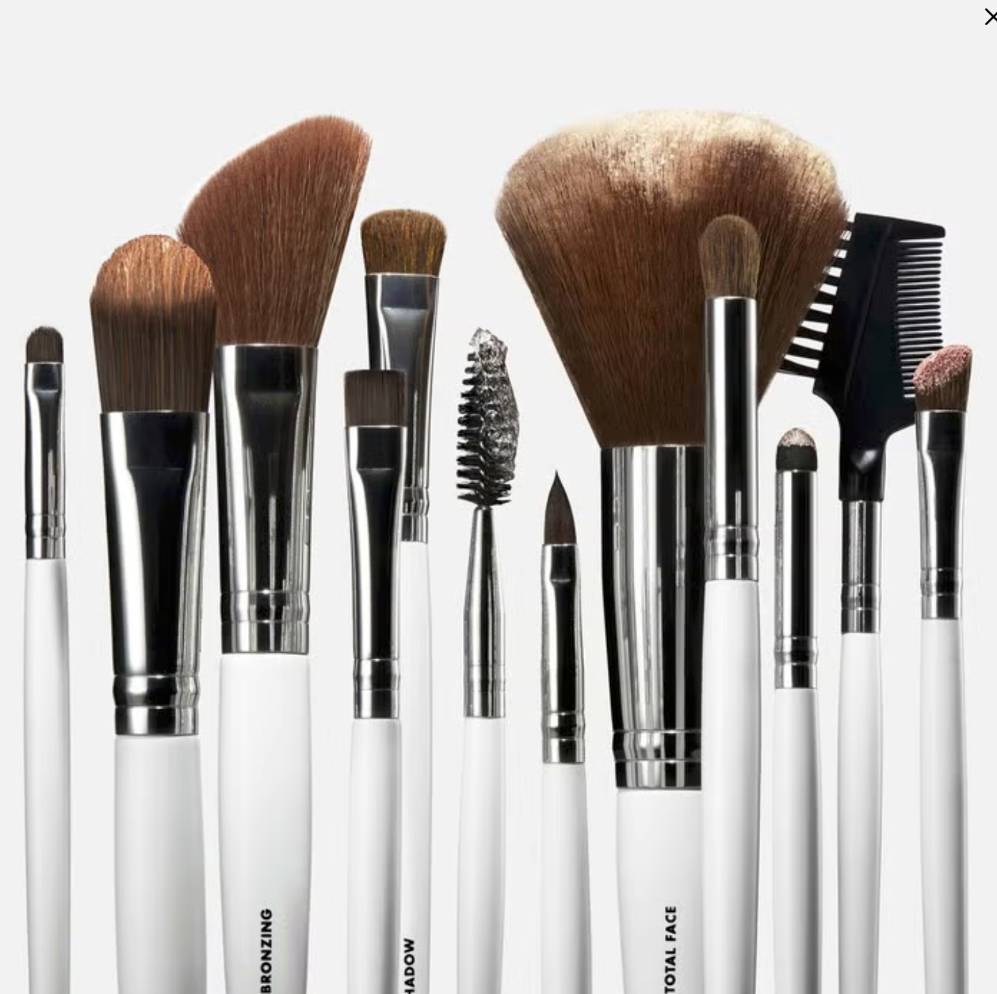 Professional Set of 12 Makeup Brushes