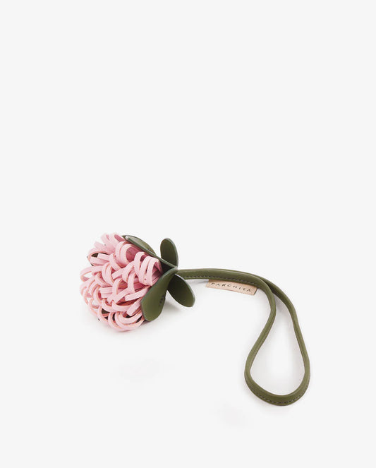 Encanto de Protea